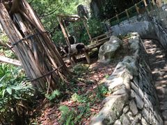 -深圳野生动物园