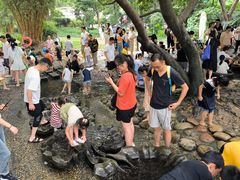 -成都市活水公园