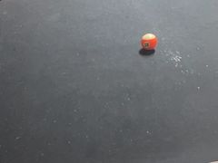 -YOGO优果密室逃脱(新佳丽广场店)