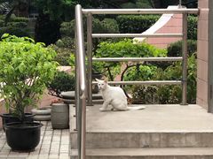 -上海外国语大学(虹口校区)