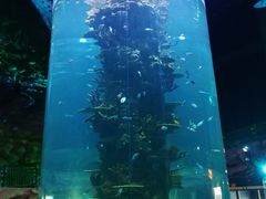 -青岛嘉年华主题乐园