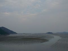 -北岐滩涂