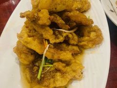 -邵年鸽(杨庄店)