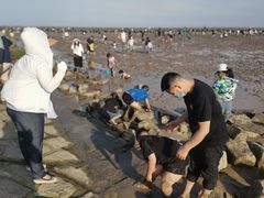 -南汇嘴观海公园