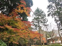 -醍醐寺