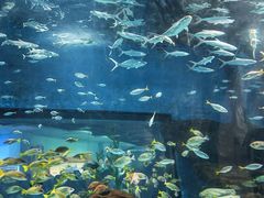 -海合安武汉极地海洋公园