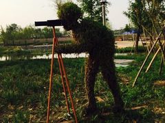 -杭州湾海上花田景区
