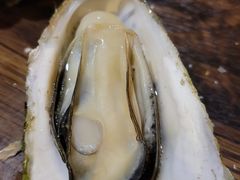 -土蚝·高压锅生蚝(百姓美食街店)