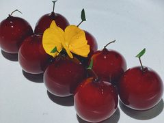 樱桃鹅肝-玫瑰厅上海菜(兴国路店)