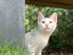 -东华大学(松江校区)