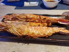 九节虾-海鼎荟海鲜姿造(晋江宝龙店)