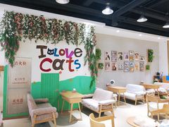 大堂-藏猫猫咖啡主题馆(中央大道店)