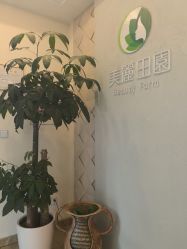 -美丽田园
