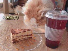 -猫的茶·猫咖