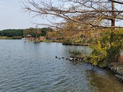 -海珠湖公园
