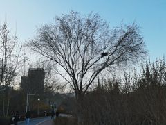 -滨河世纪广场公园