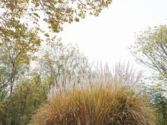 -盘龙城国家考古遗址公园