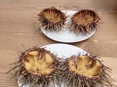 -海胆小馆(东北水饺·春柳店)