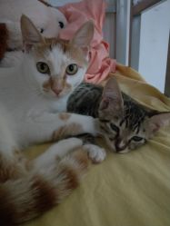 -Priscilla皮肤管理中心