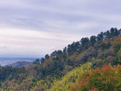 -敬亭山风景名胜区