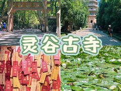 -灵谷景区