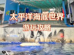 -太平洋海底世界