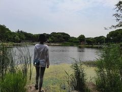 -蠡湖大桥公园