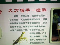 -上海昆虫博物馆