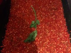 -辣伍鲜毛肚老火锅(元一店)