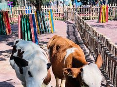 -水上乐园·欢乐世界