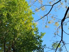 -东钱湖旅游度假区