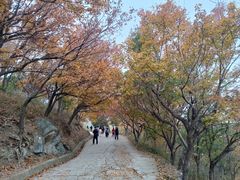 -国家植物园南园