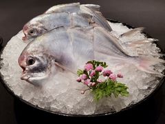 -荣记火锅(青悦城店)