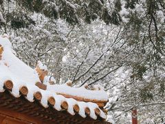 -颐和园