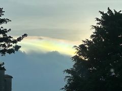 -海南热带雨林国家公园吊罗山景区