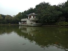 -金花茶公园