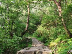 -驼梁风景区