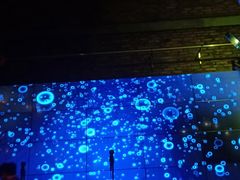 -胡桃里音乐酒馆(曲江店)