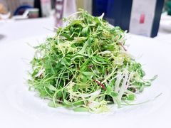 -西郊壹号