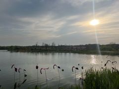 -江苏三台山国家森林公园
