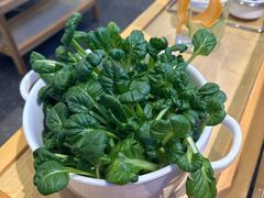 -烹然四季椰子鸡火锅(姚家园万象汇店)