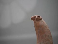 -清华大学艺术博物馆