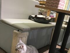 -小时光咖啡馆(开森度假森林店)