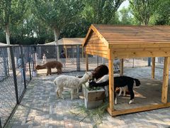 -长白岛森林公园