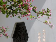 -棠湖公园