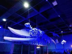 -北戴河圣蓝海洋公园