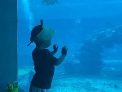 -海棠湾洲际-涛·海底餐厅·美人鱼·自助餐·海底隧道