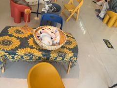 -平行世界·猫咖(首经贸店)