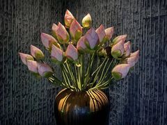 -大桶大足浴(广灵店)