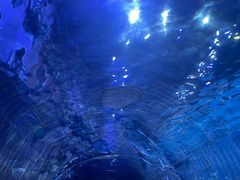 -华夏文旅西安度假区